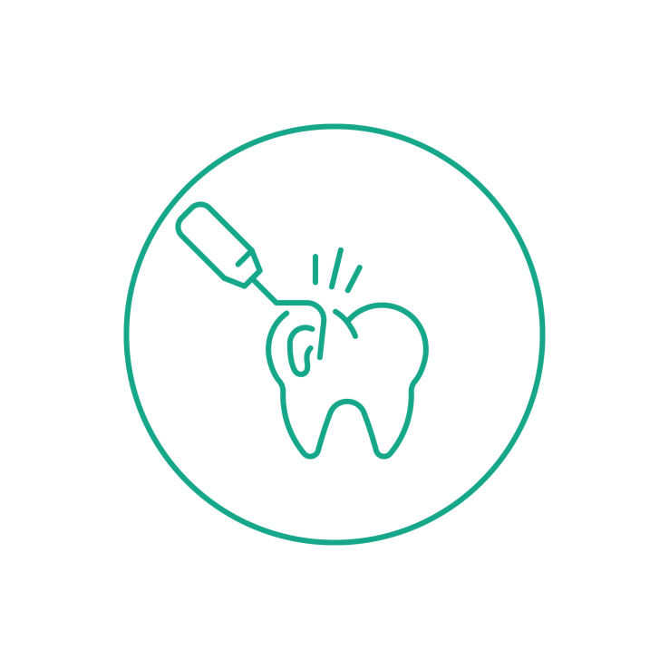 endodontia